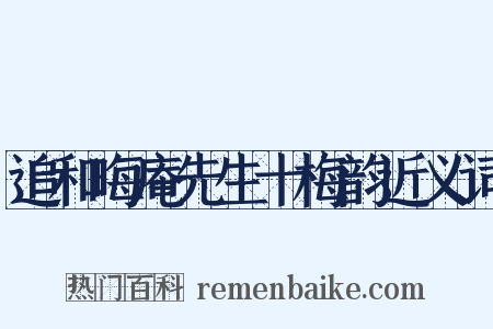 追和晦庵先生十梅韵近义词是什么意思的图片